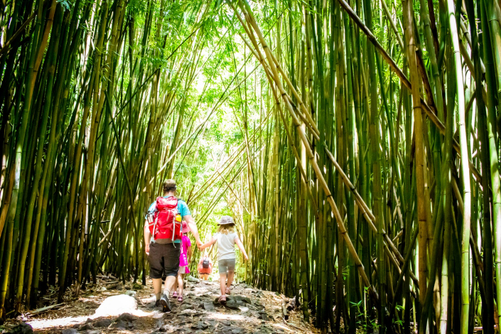 Hike Through The Bamboo Forest In Maui Hawaii