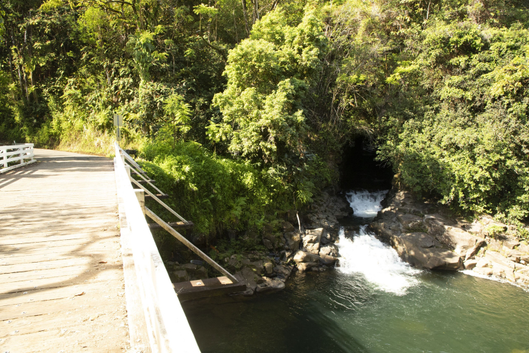 rainforest road hilo bigisland stream waterfall