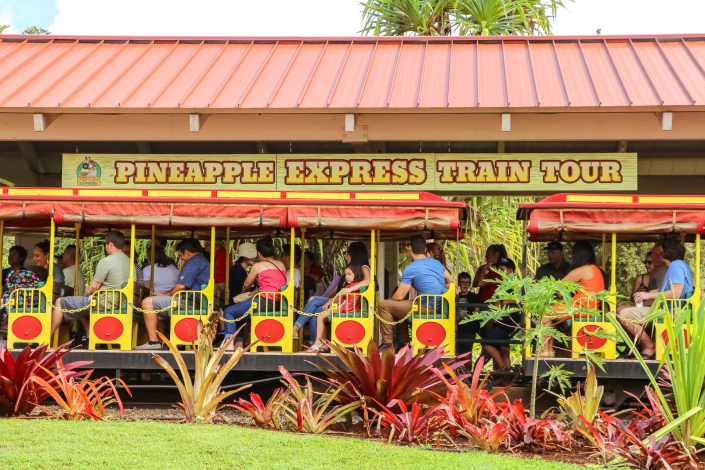 Dole Plantation Train Pineapple Express Visitors Circle Island Pearl Harbor Oahu Tour