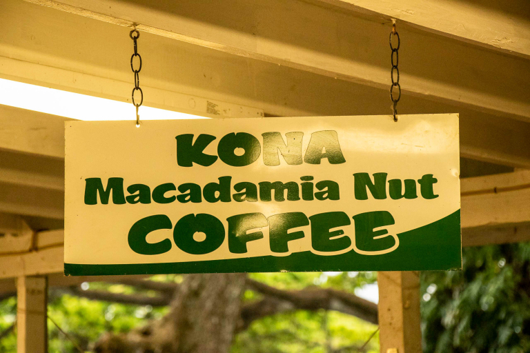 Coffee Culture Macadamia Nut Farm