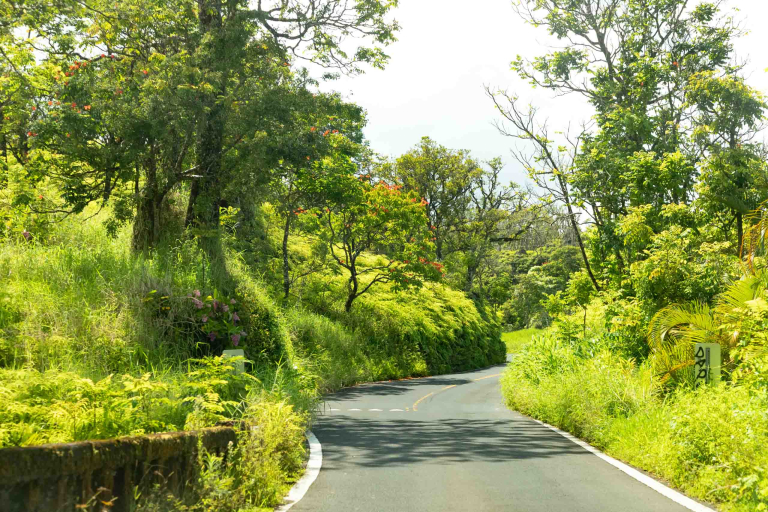 Exclusive Private Maui Tour Road To Hana Scenics Maui