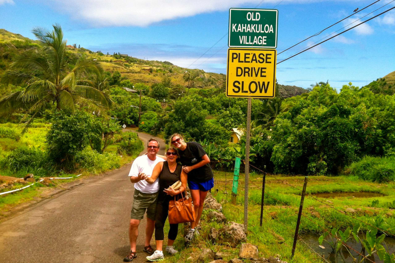 Holoholomauitours West Maui Private Sightseeing Kahakuloa Villlage